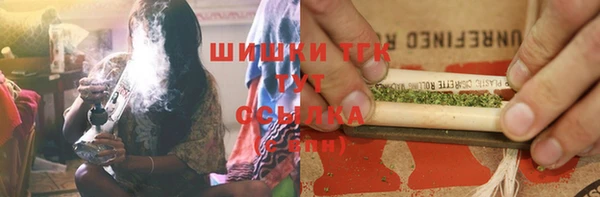 сатива Баксан
