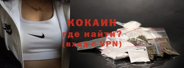 ГАЛЛЮЦИНОГЕННЫЕ ГРИБЫ Осинники