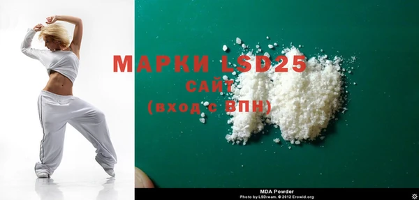 ГАЛЛЮЦИНОГЕННЫЕ ГРИБЫ Осинники