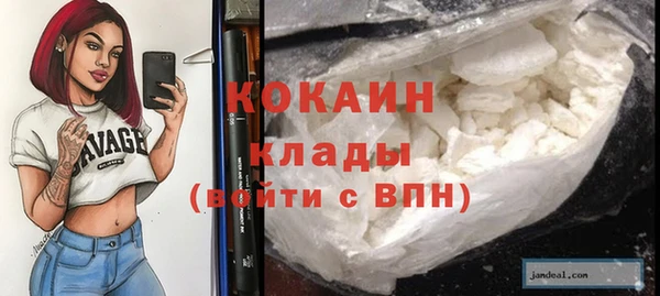 сатива Баксан
