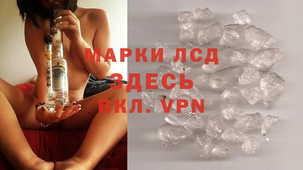 ГАЛЛЮЦИНОГЕННЫЕ ГРИБЫ Осинники